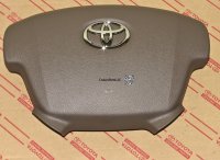 Steering Wheel Center Pad Oak Trim 01/2007 - newer