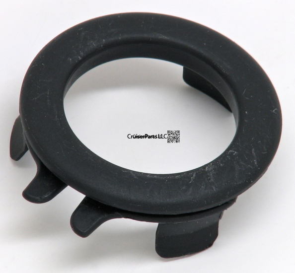 Instrument Panel Finish  Plate T100