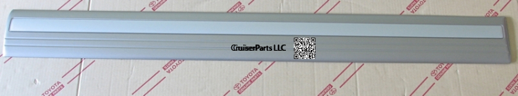 Body Side Moulding Right Front Door 98-07