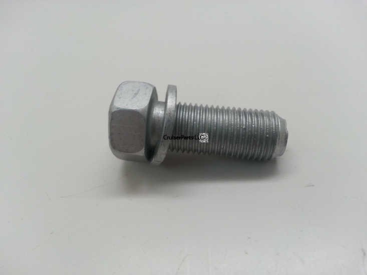 Bolt With Washer