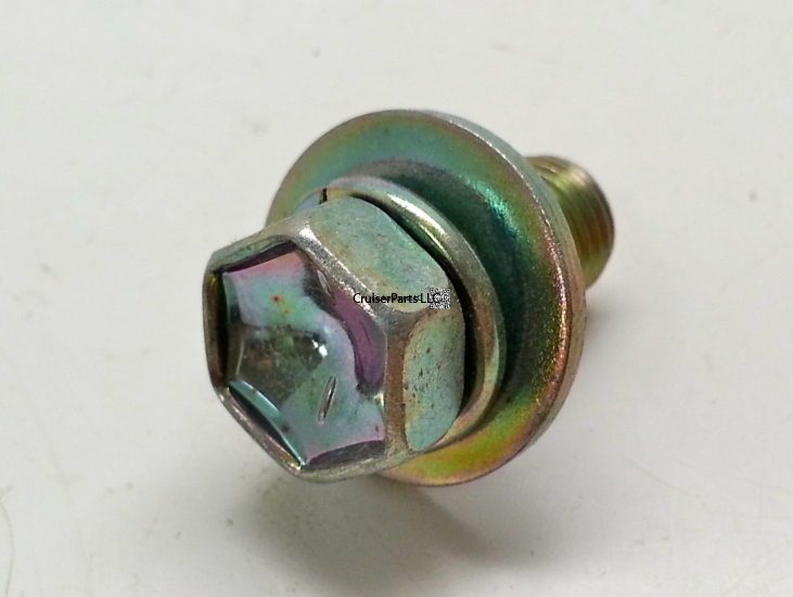 Bolt With Washer