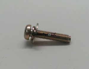 Screw With Washer