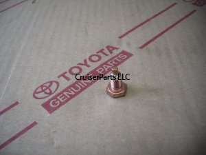 Brake Master Cylinder Drain Plug