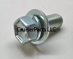 Bolt With Washer