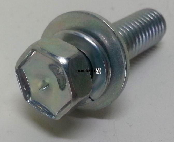 Bolt W/Washer