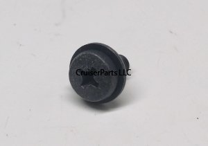 Screw With Washer