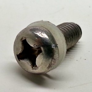 Screw With Washer