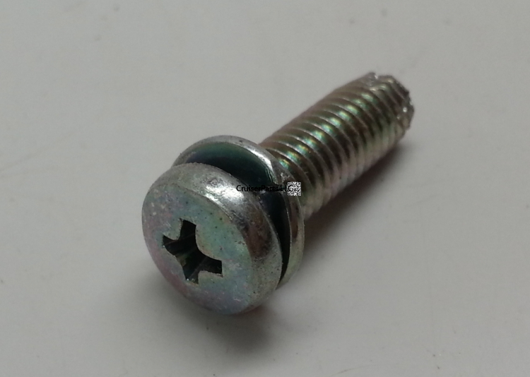 Screw With Washer