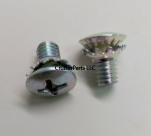 Screw With Washer