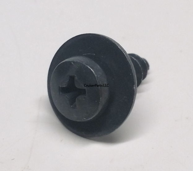 Screw With Washer