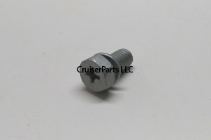 Screw With Washer