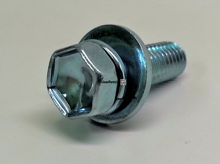 Bolt With Washer