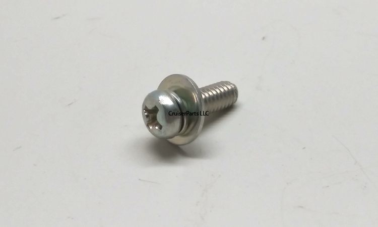 Screw With Washer