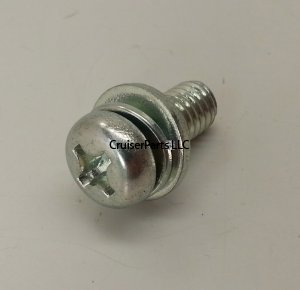 Screw With Washer