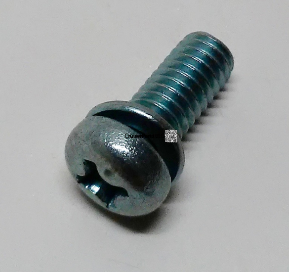 Screw W/Washer