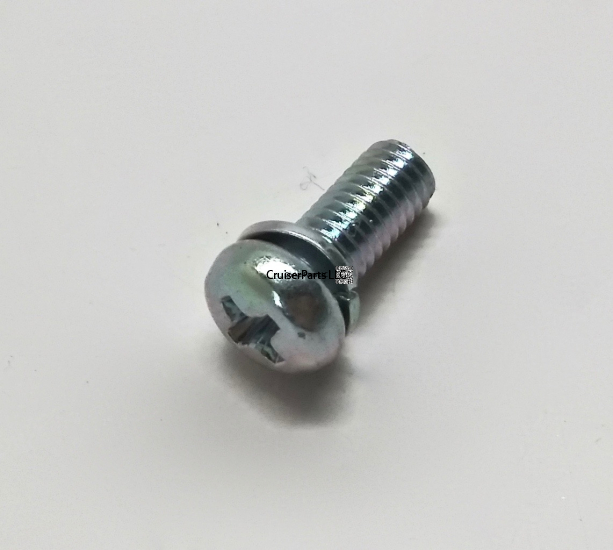 Screw With Washer