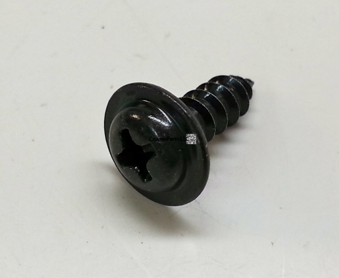 Grille Surround Screw