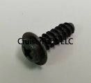 Self Tapping Screw