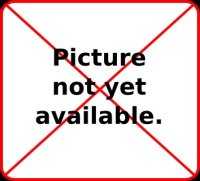 Intake Valve (Narrow Groove) for H Engines