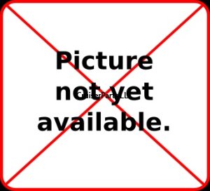 Intake Valve for 2H Engines