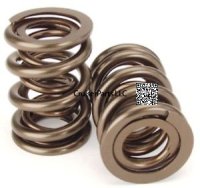 Valve Spring for H Engines