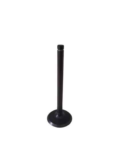 (image for) Intake Valve For B Engine 88-95