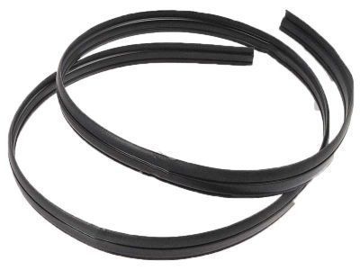 Right Door Weatherstrip Seal suitable for Landcruiser 75 Series Ute